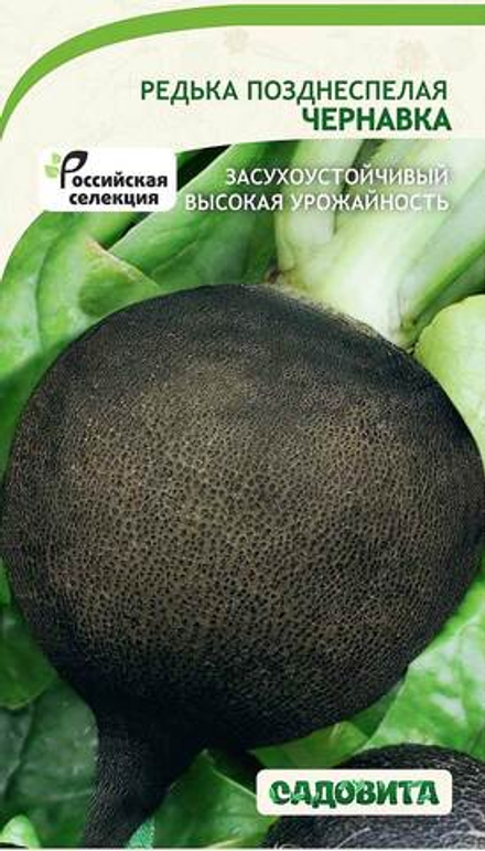 Редька Чернавка 1гр Садовита