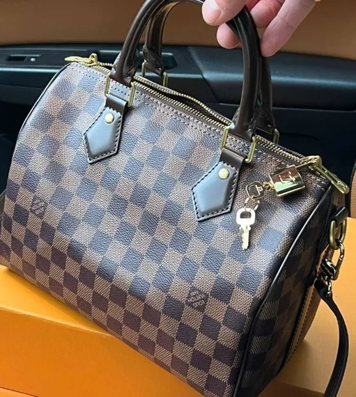 Сумка Louis Vuitton Speedy Damier Ebene