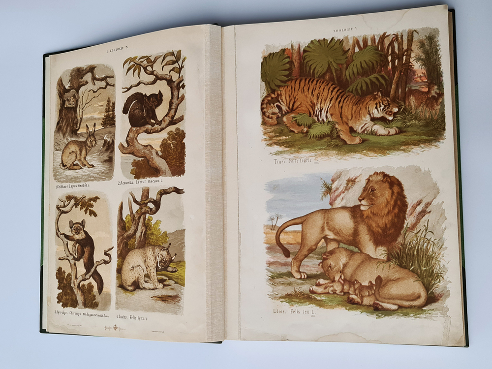 "Большой зоологический, ботанический и минералогический атлас : Handatlas der Naturgeschichte aller drei Reiche". Г. Хайек : Hayek, Gustav von. Grosser. 1888г. - антикварное издание