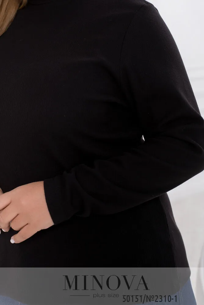 Водолазка 2310-1-черный Minova