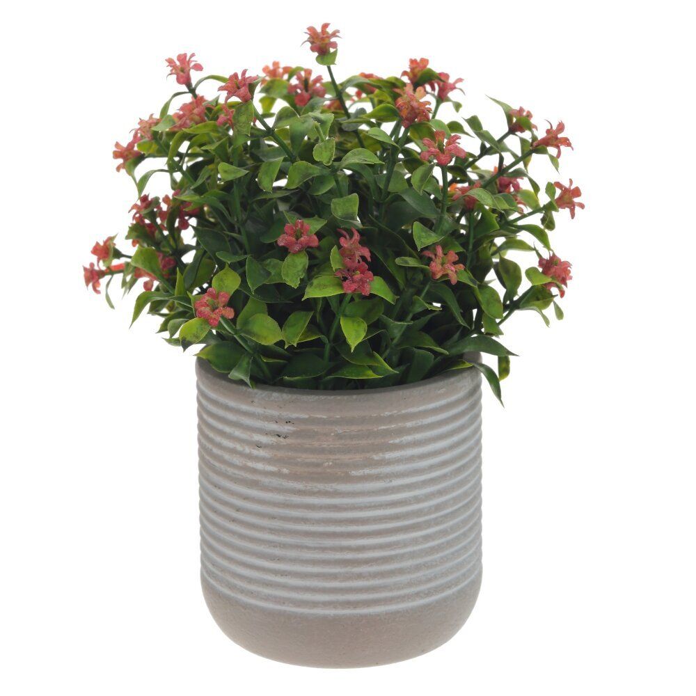 GAEM Цветочная композиция, L11 W11 H17 см, 3в.