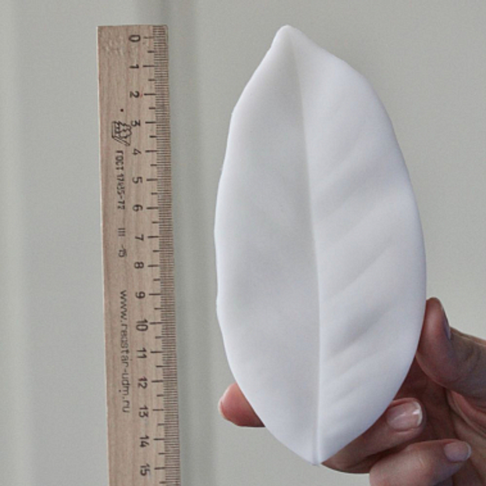 Вайнер листа Магнолии ClayCraft by DECO™