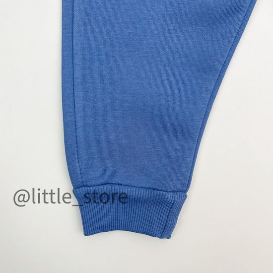 Джоггеры из футера с начесом, Синие