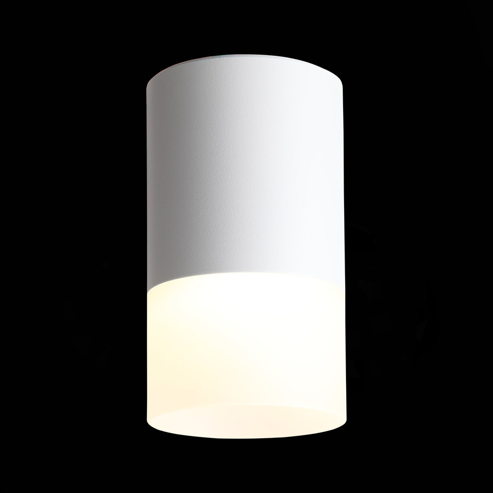 ST100.502.05 Светильник потолочный Белый LED 1*5W 3000K 390Lm Ra&gt;80 120° D64xH110 170-240V Накладные светильники