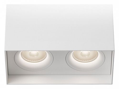 Накладной светильник Maytoni Technical C015CL-02W