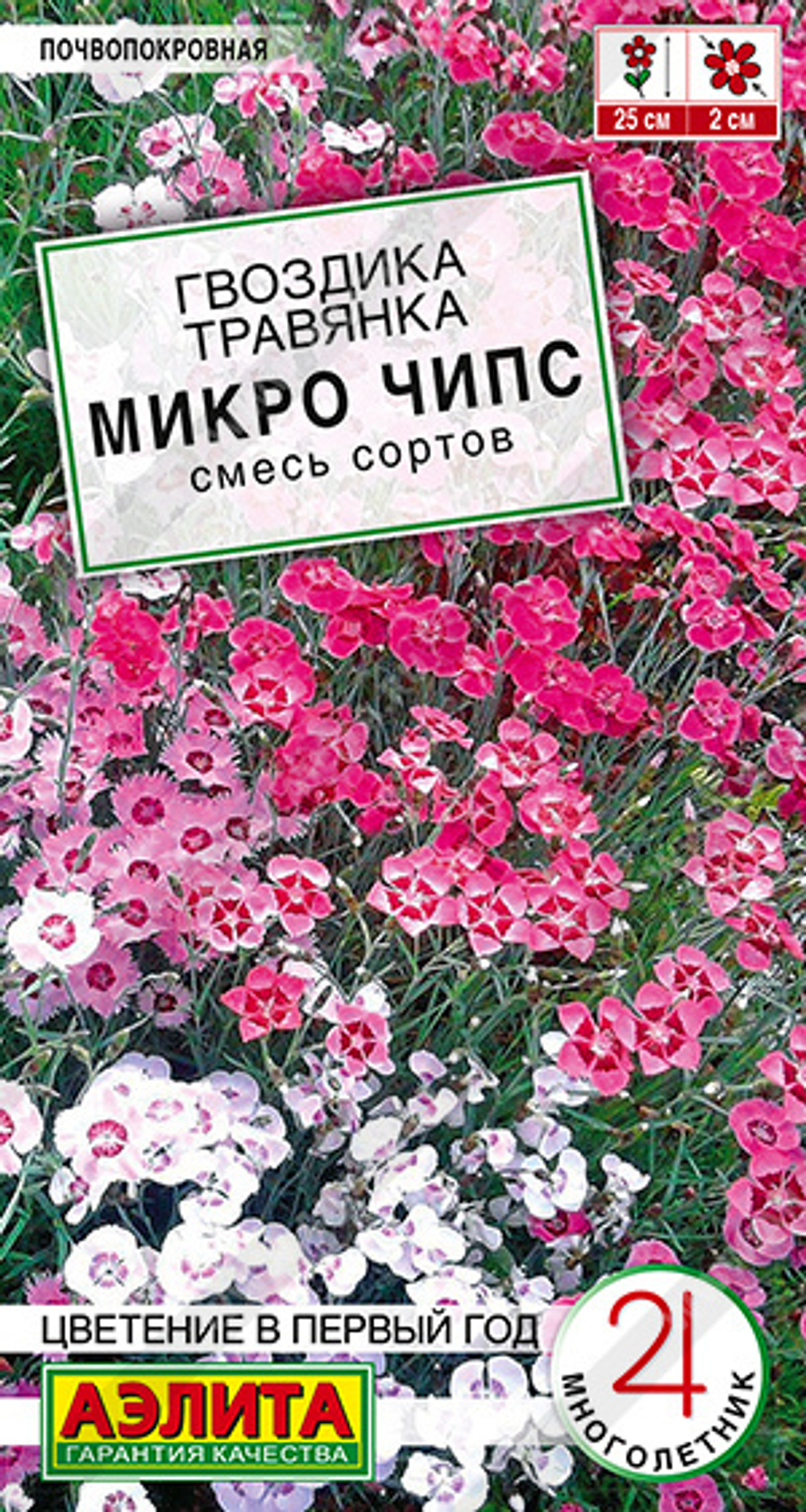 Гвоздика Микро чипс многолетняя, смесь сортов Аэлита