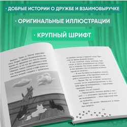 Тайный дневник кота Бориса