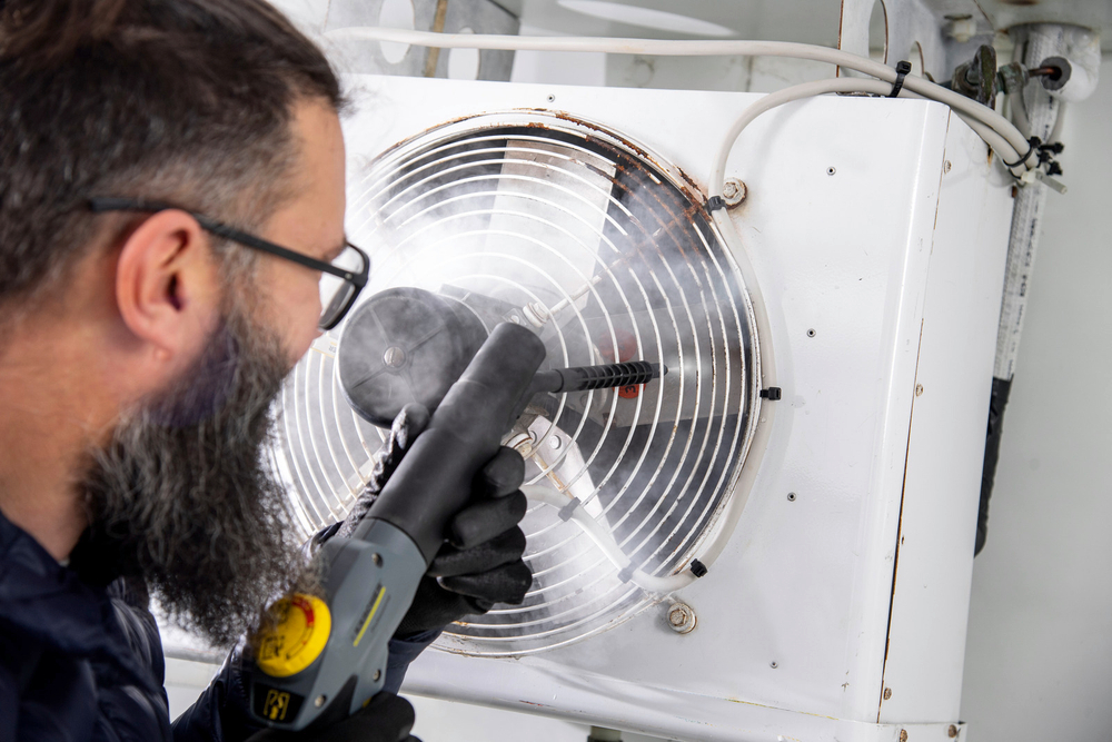 Профессиональный пароочиститель SG 4/2 Classic