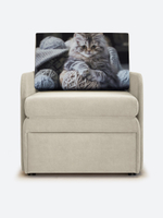 Кресло-кровать "Миник" с подлокотниками, купон Котенок в клубках