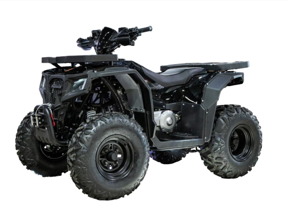 Квадроцикл ПРОГАСИ Race Jumper 200 Max Power