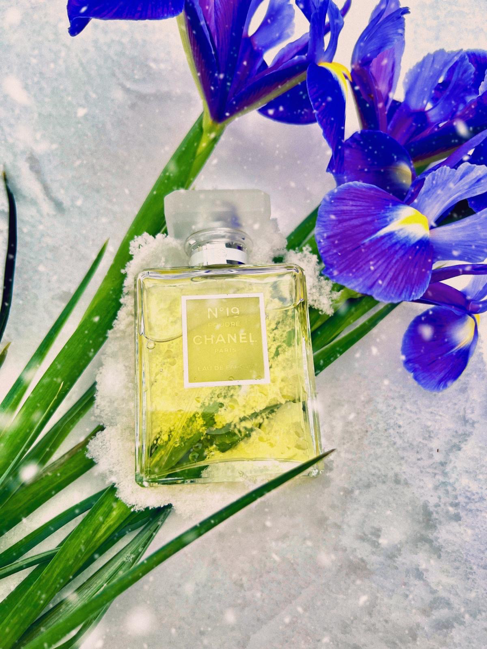 Chanel N°19 Poudre
