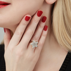 Кольцо "Эйлера"