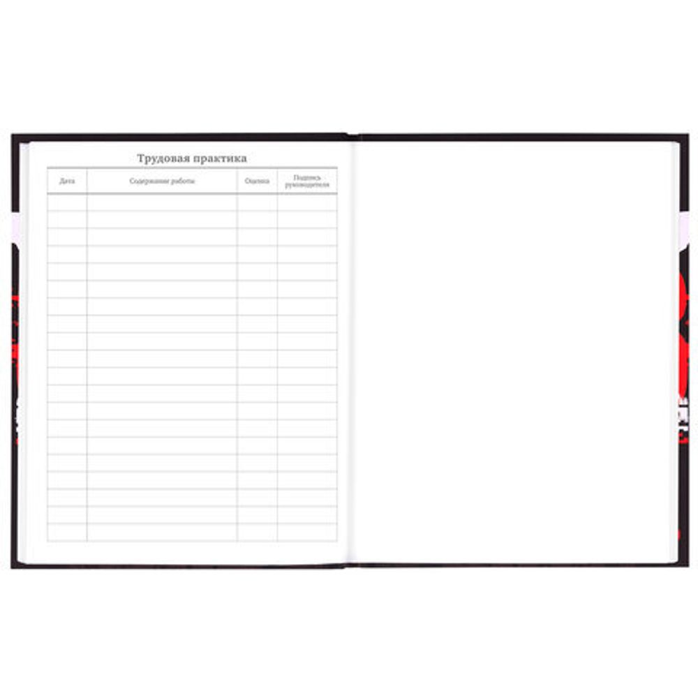 Дневник 5-11 класс 48 л., твердый, BRAUBERG, выборочный лак, с подсказом, "Кеды", 106889