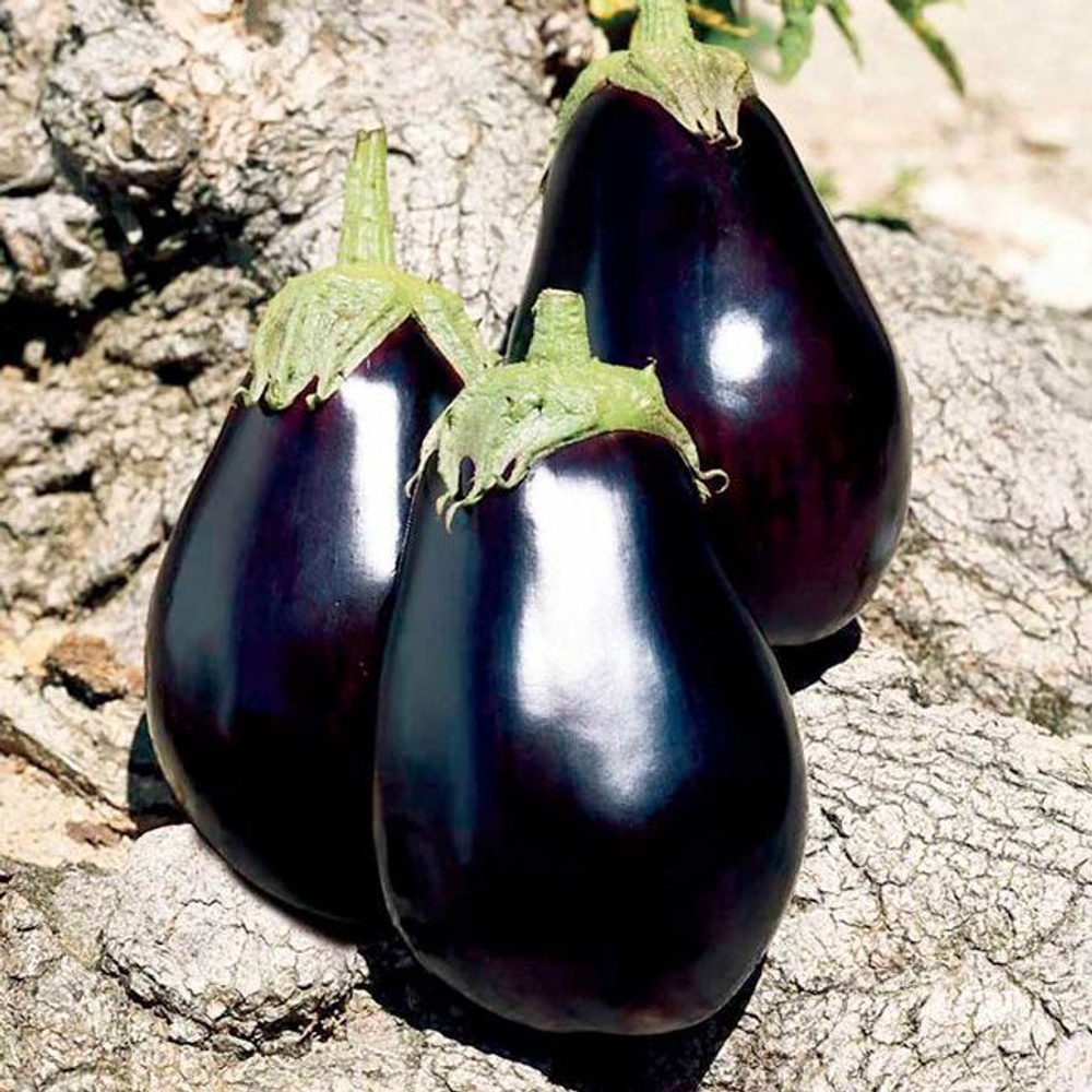 Баклажан Галинэ  F1 7шт Мировые Семена VITA GREEN