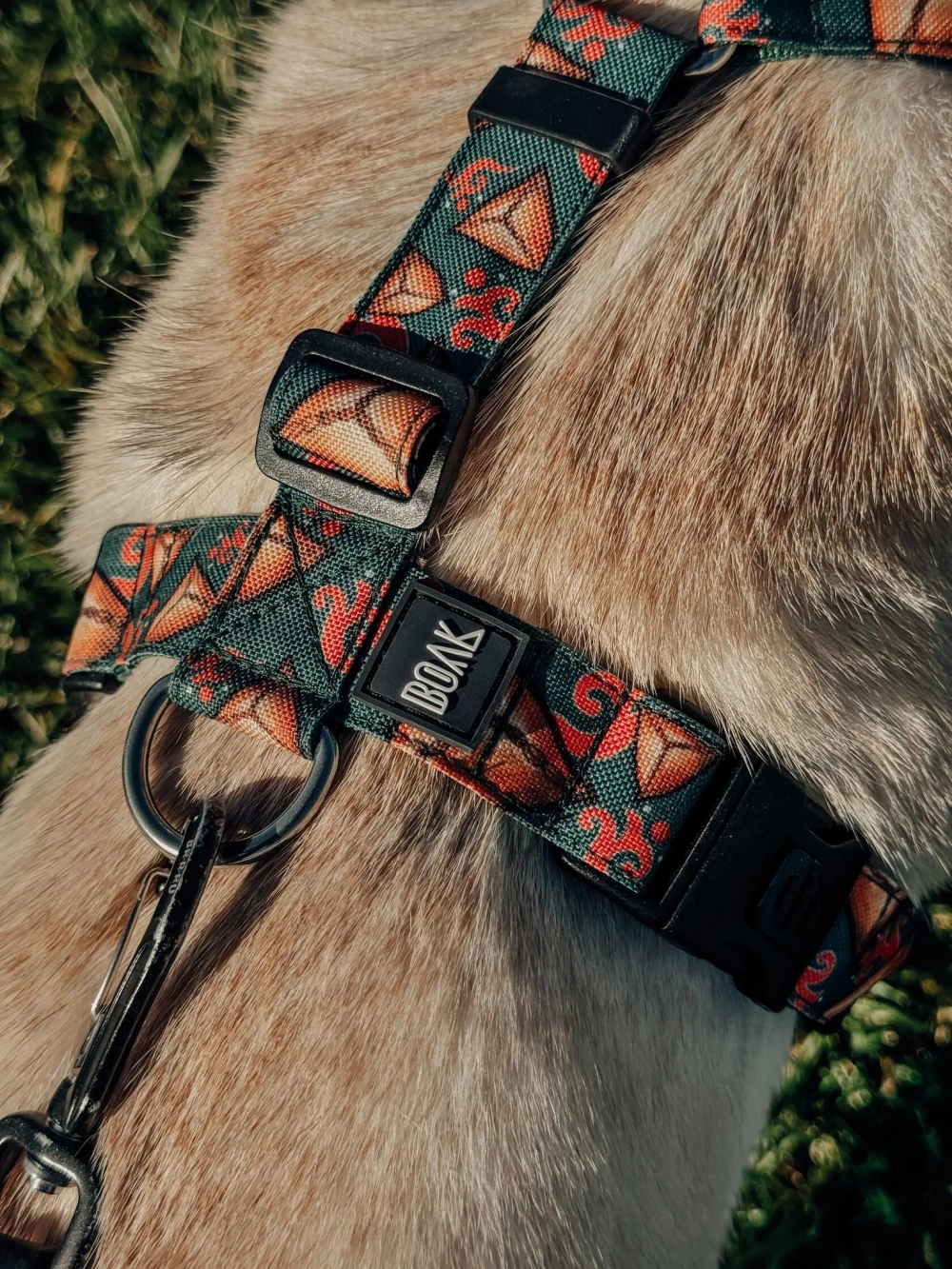 Шлейка Эчпочмак, наличие