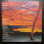 Irmin Schmidt ‎– Musk At Dusk (Германия 1987г.)