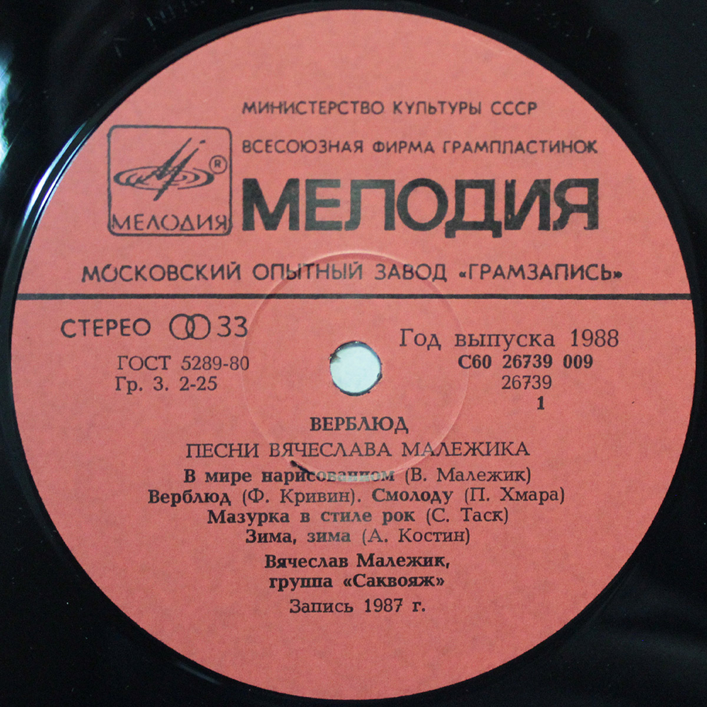 Вячеслав Малежик / Верблюд (LP)