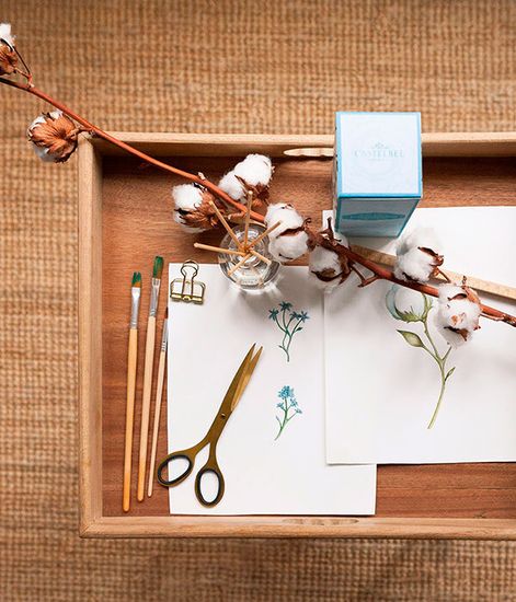 Цветы хлопка, ароматический диффузор Cotton Flower, Castelbel Porto