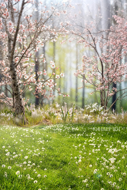 Фотофон "Весенний лес" арт. ФФ903-26