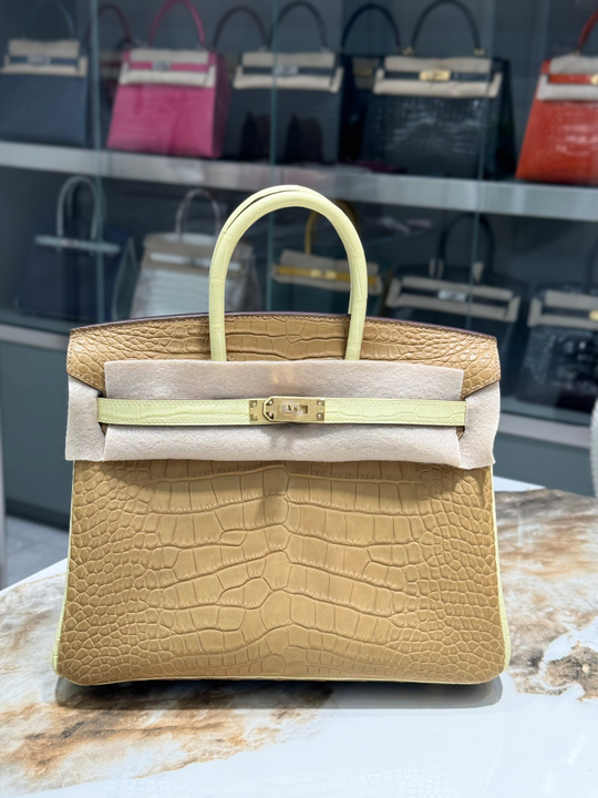 Hermes Birkin 25