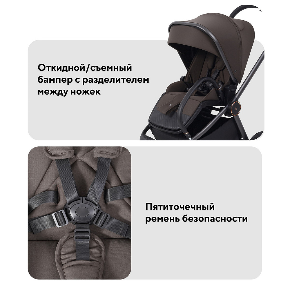 Детская коляска Rant Flex Therm Soft 3 в 1 с автокреслом Evomax Black Shine Brown