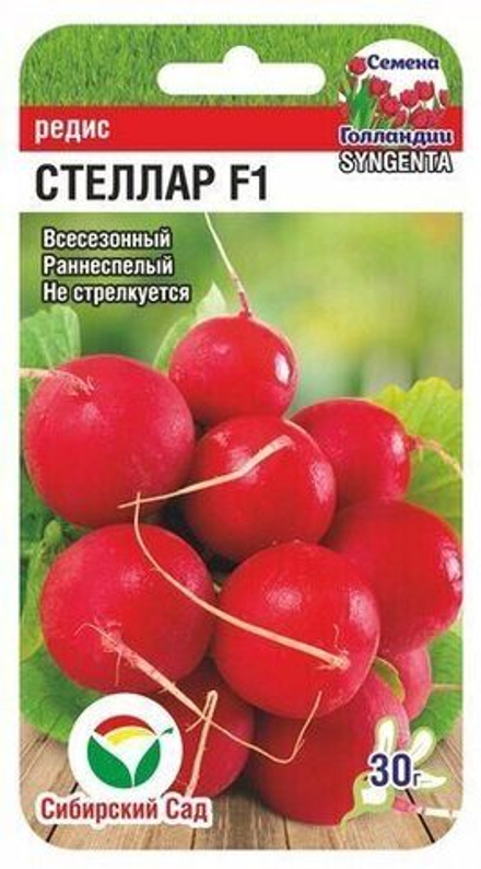 Редис Стеллар Сибсад