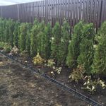 Крепящий якорь Gidrolica Line КЯ-Б – для бордюра Б-300.8,5.4.5