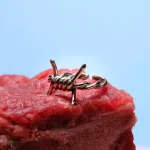 Кольцо Двор Колючка