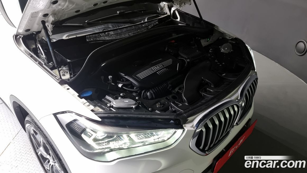 BMW X1 (F48) xDrive 20i xLine (10.2021)