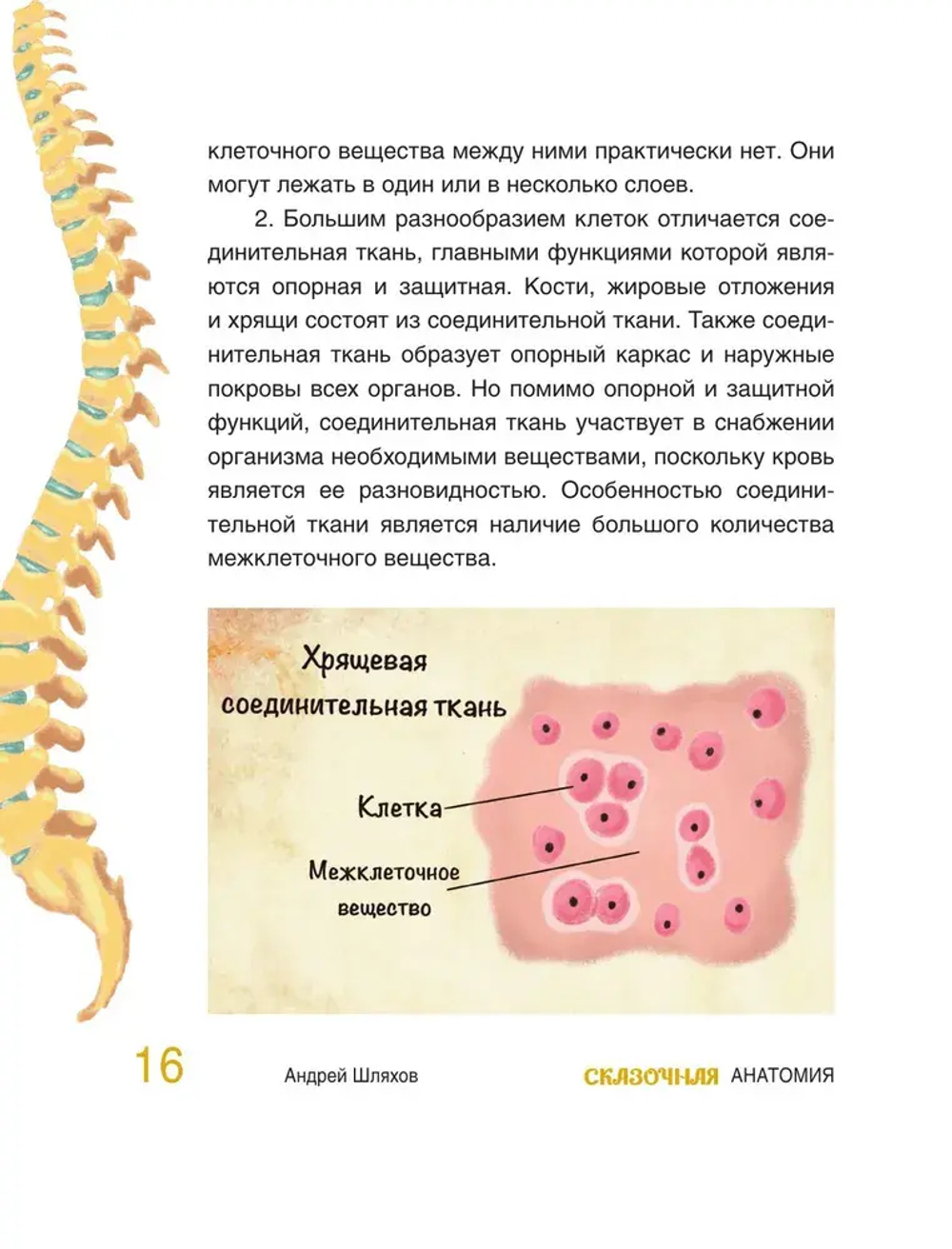 Сказочная анатомия