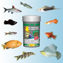 JBL Spirulina - премиум корм для травоядных рыб (хлопья)