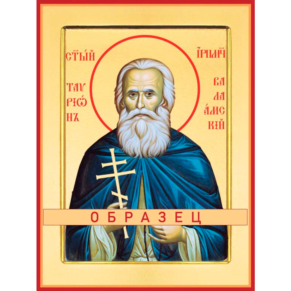 Преподобномученик Таврион (Толоконцев) Мч-124 (прпмч/Т/1/1)