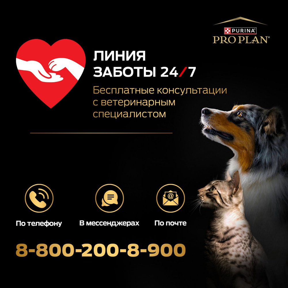 Влажный корм PRO PLAN Maintenance для взрослых кошек, с индейкой в соусе, 85 г