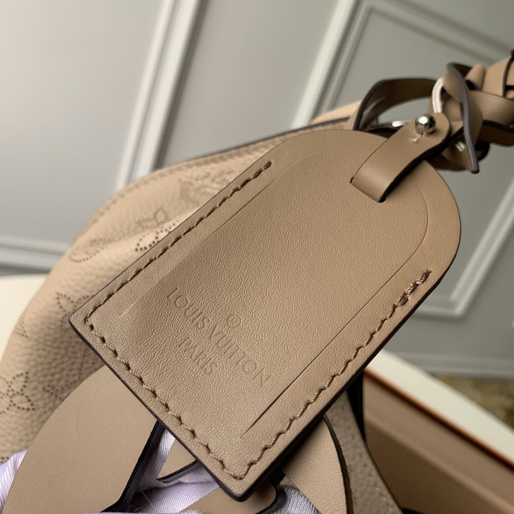 Louis Vuitton Carmel Hobo Bag