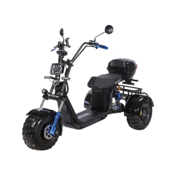 Skyboard TRIKE BR40-3000 PRO FAST OFF-ROAD