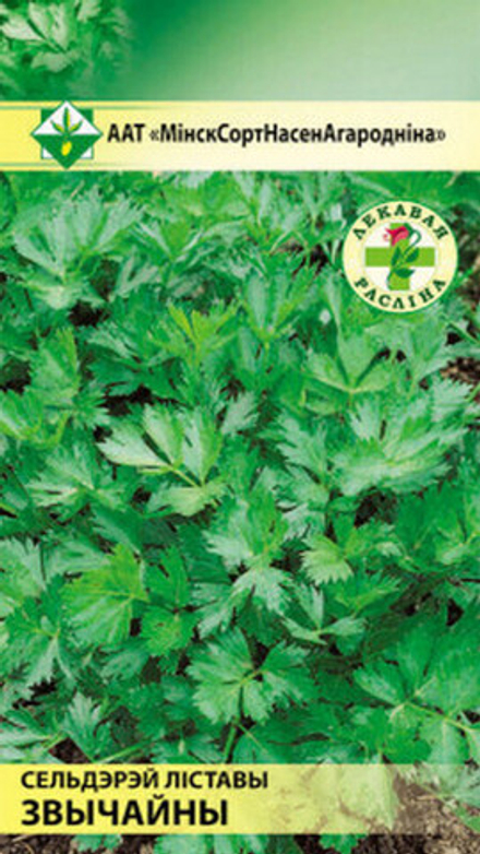 Сельдерей листовой "Обыкновенный" 0.5г