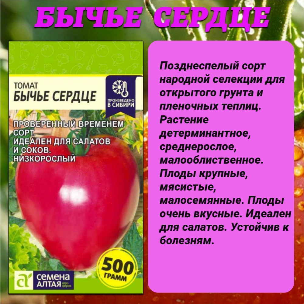 Лучшие сорта томата: Кулема, Цыпочка и Бычье сердце. Семена Алтая