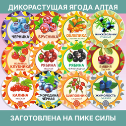 Исландский мох цетрария, 100 г.
