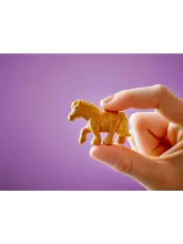 Конструктор Friends 42654 Пони-ранчо и конюшня