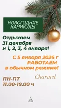 НОВОГОДНИЕ КАНИКУЛЫ