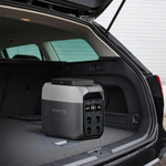 Портативная зарядная станция EcoFlow DELTA 3 (1024 Втч)