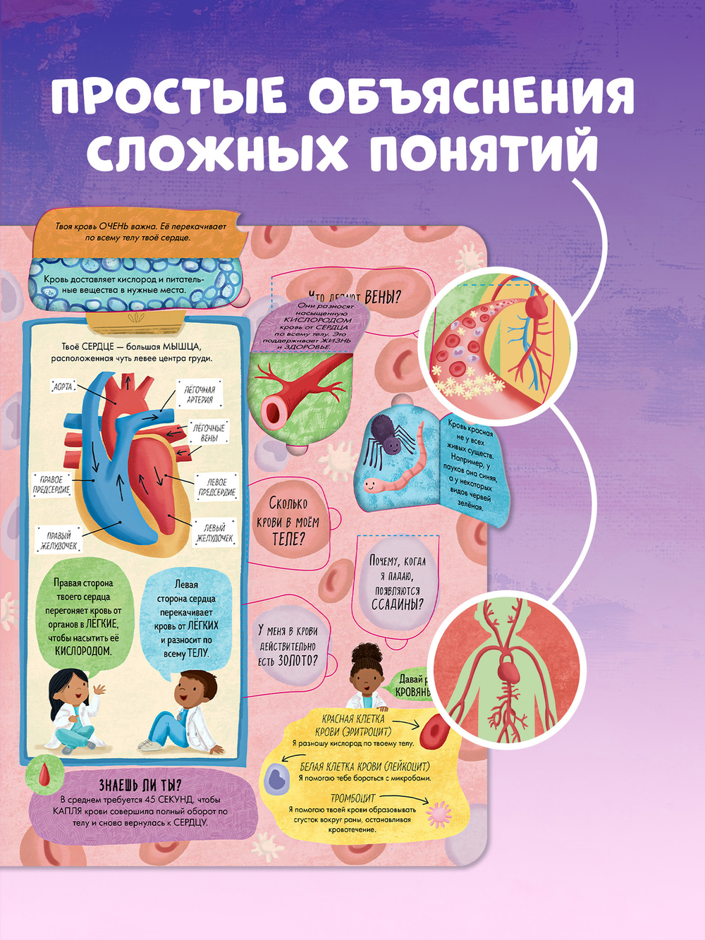 Большая книга с окошками. Тело человека