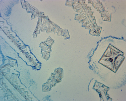 Видеоокуляр ToupCam UCMOS14000KPA