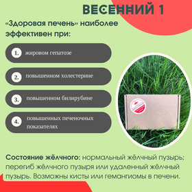 Бокс "Весенний 1"