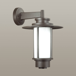 Уличный настенный светильник Odeon Light 4047/1W