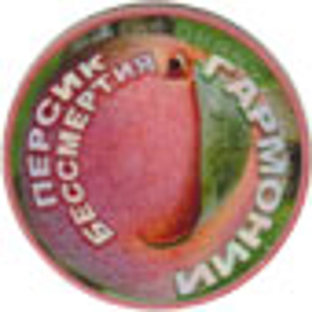 Фонатор "Персик Бессмертия Гармонии"