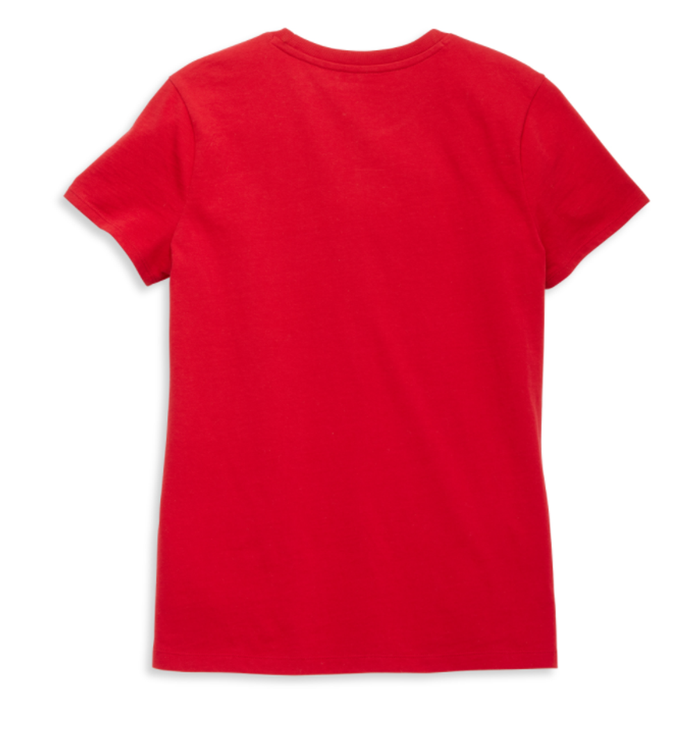 Футболка Flying Eagle Script Font Harley-Davidson