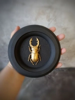 Панно на стену для интерьера Жук олень