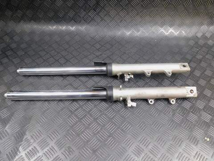 Перья вилки Yamaha TDM850 RN03J 2001