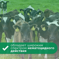 Раствор для инъекций от гельминтов для сельскохозяйственных животных и собак Левамизол 75 ( NITA-FARM), 50мл. Левамизол